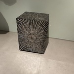 Zuil Raw Interiors, Schelp ster